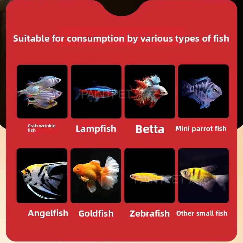 PAINTPET Bio-Mimetic Bloodworm Fish Food, Slow Sinking Protein Pellets for Tropical Fish, Universal Diet for Guppy, Tetra, Betta view 6