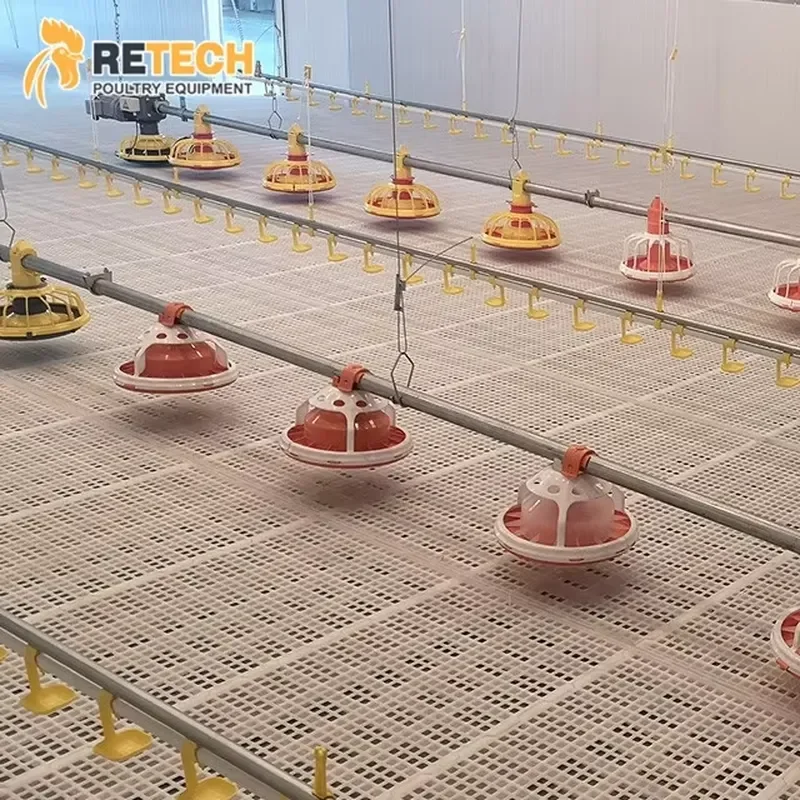 

Automatic Feeding System for RETECH Broiler Floor Raising Chicken Farming Equipment