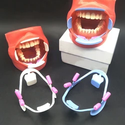 5pcs 3D Cheek Retractor Teeth Whitening Mouth Opener, 2pcs Mouth Spreader Lip Shape Opener Dentist Orthodontic Tool