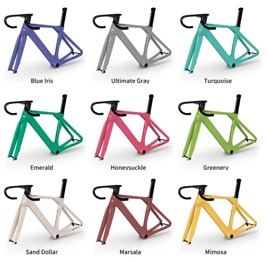 Telaio Bici Da Corsa BXT Max In Fibra Di Carbonio, Freni A Disco Nascosti, 700x32C