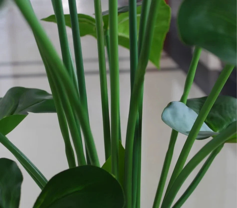 Simulation plant green plant dripping water Guanyin anthurium false tree flowers and plants green environmental protection/large