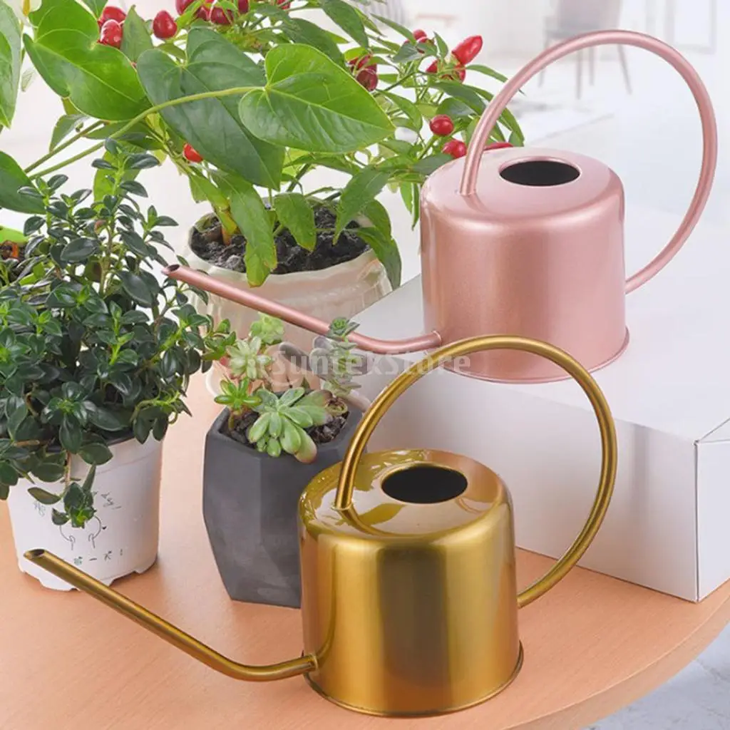 

Pastoral Indoor Plant Watering Can Long Spout Sprinkler for Potted Flower Bosai