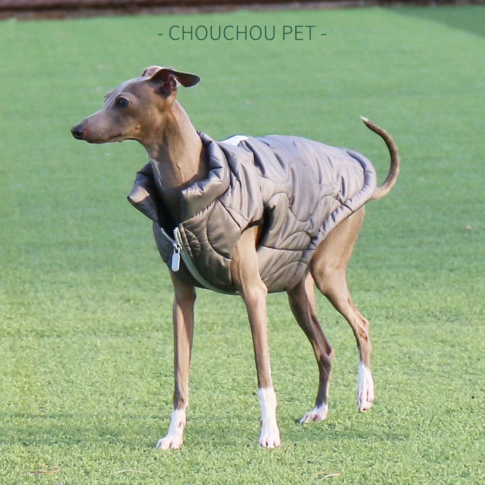 Grey zipper iggy Italian Greyhound Whippet small medium sized dog coat vest pet clothing