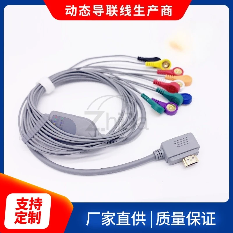 

Kaijin KJ-12D, Wuhan Zhongqi, Madex, Bosheng 12-lead dynamic ECG lead wire