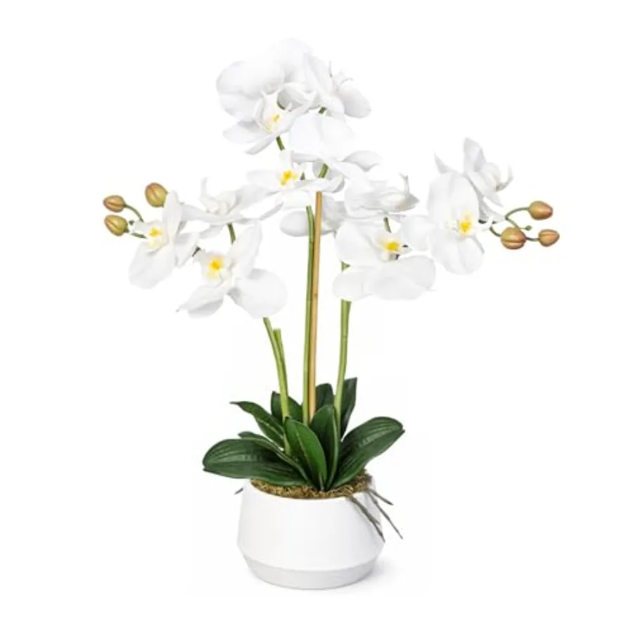 

Artificial Orchid Flower Potted, 2Feet White Real Touch Orchid Artificial Flowers with 4 Stems Artificial Phalaenopsis in Plast