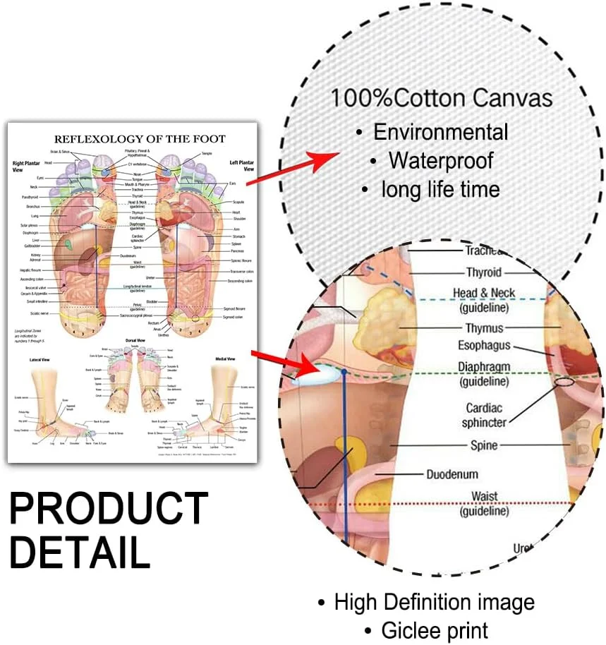 تدليك ريفلكسولوجي للقدم، مخطط الوخز بالإبر، التشريح، الفن، القماش، اللوحة، الملصق المطبوع، ديكور المنزل، التعليم الطبي