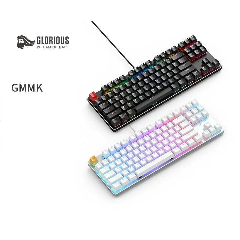 

Glorious Modular Mechanical Gaming Keyboard - Full Size GMMK (104 Key) + Glorious PC Gaming Race Keyboard Switch