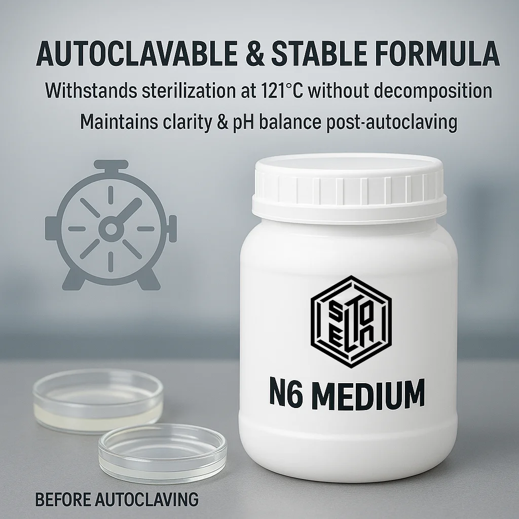 N6 متوسط بدون سكر أو أجار لمسحوق بروتوبلاست أنثري لتجديد الثقافة والنباتات 50 جم/100 جم/250 جم