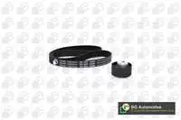 Store code: TB2203K for plant bearing kit (TRIGER set) ALBEA BRAVO DOBLO PUNTO IDEA MAREA PALIO SIENA STILO EGEA PALIO SIENA STILO EGEA PALIO SIENA stya