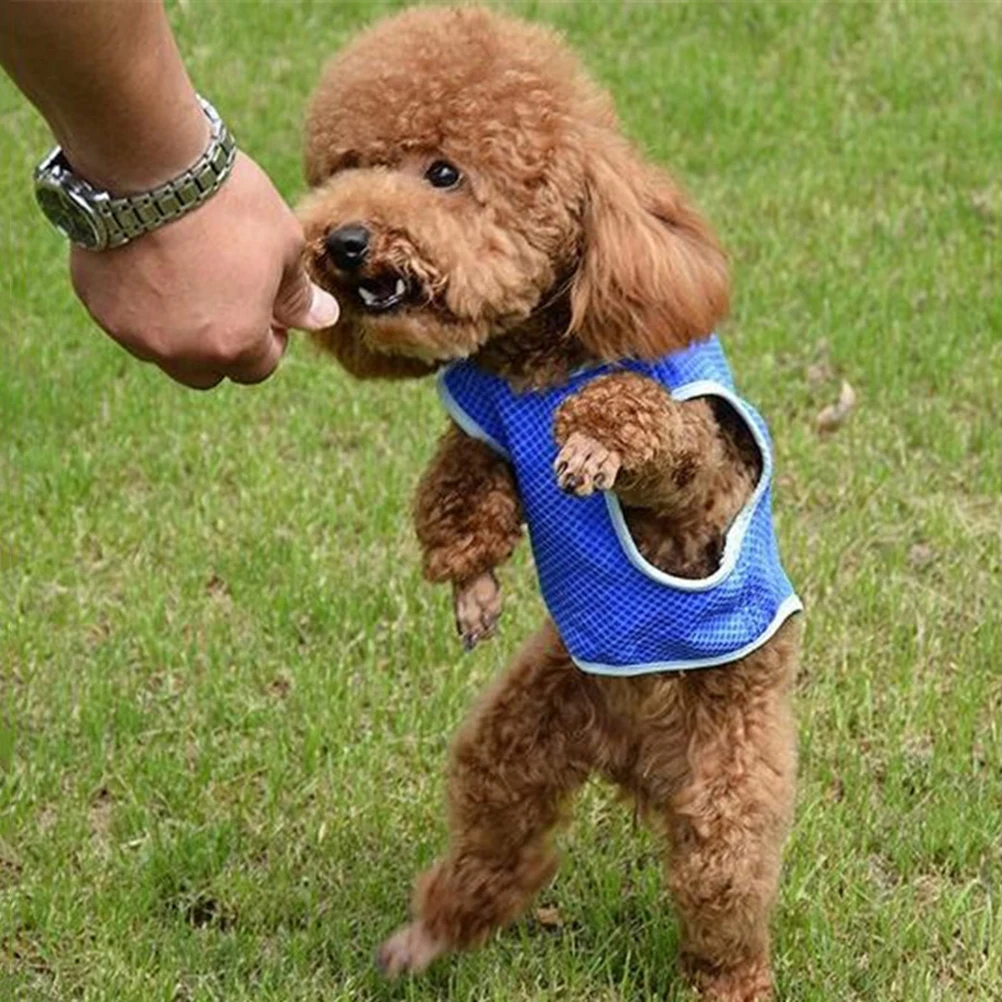 

Dog Cooling Vest Blue Pet Shirts for Dogs Super-absorbent Puppy Harness Jacket Summer