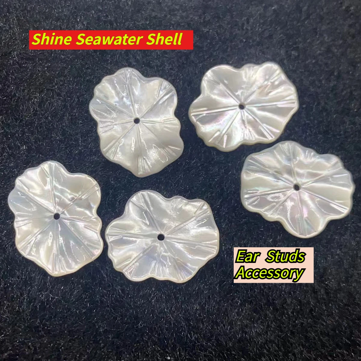 

2Pcs DIY Ear Studs Beads Natural Seawater Shell Lotus Leaf Beads 15X18mm For Jewelry Making DIY Chains Earrings Accessory