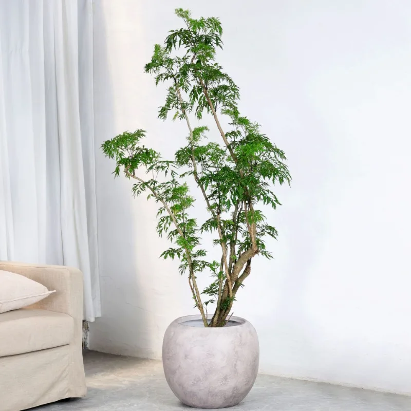 

Floor-to-ceiling large diameter round high large flower pot Living room indoor and outdoor turtle bamboo pot