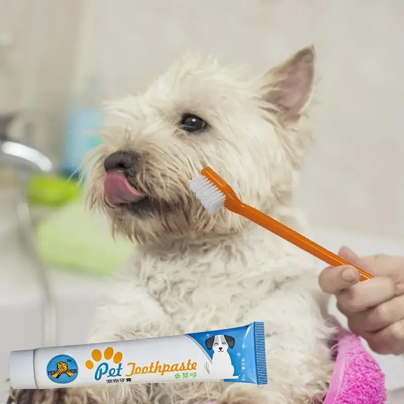 Dog Toothbrush Pet Products Dog Supplies Pet Dog Toothbrush Set Puppy Toothbrush Toothpaste Cat Tooth Back Up Brush Care Set