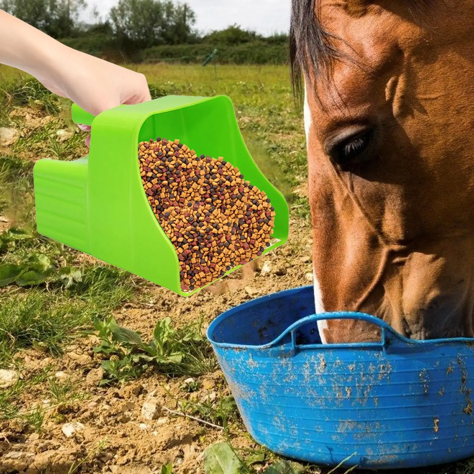 

Лопатка для кормления для скота, коз, лопатка для раздачи еды, эргономичная нескользящая ложка для кормления для овец, крупного рогатого скота, лошади, скота, птицы