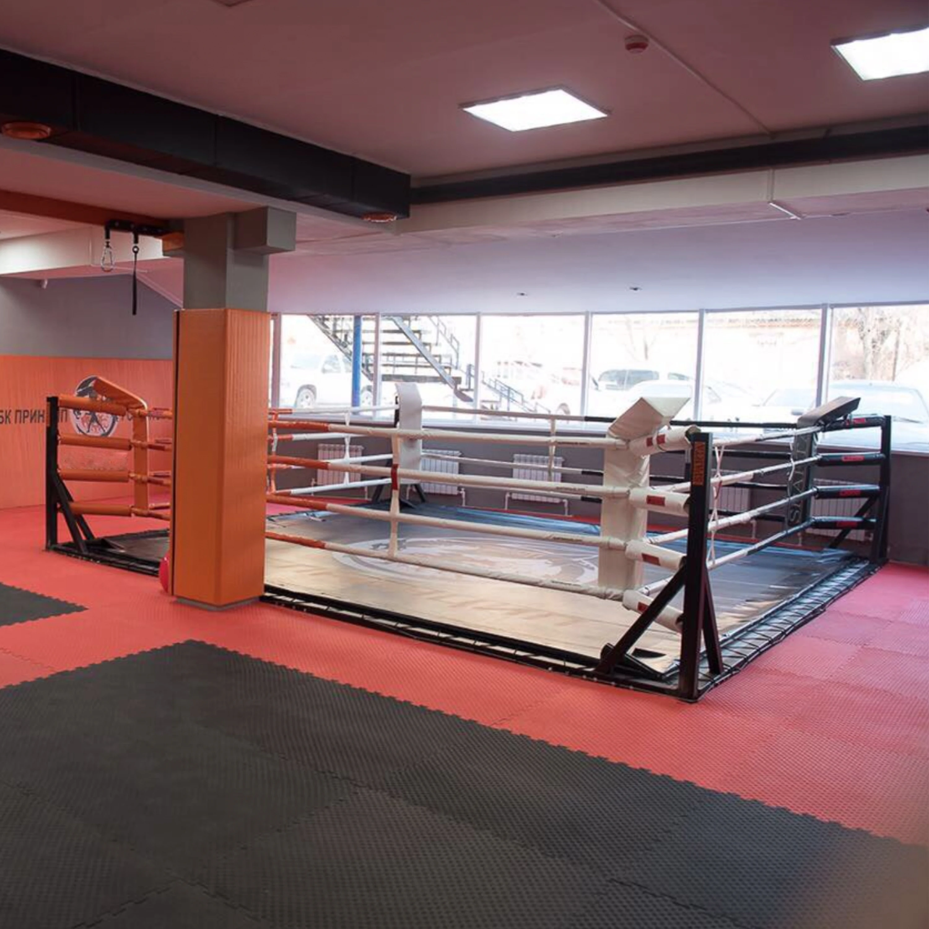 Picture 5: Personalized Professional 6m X 6m Floor-Standing Boxing Ring Equipment for Competition