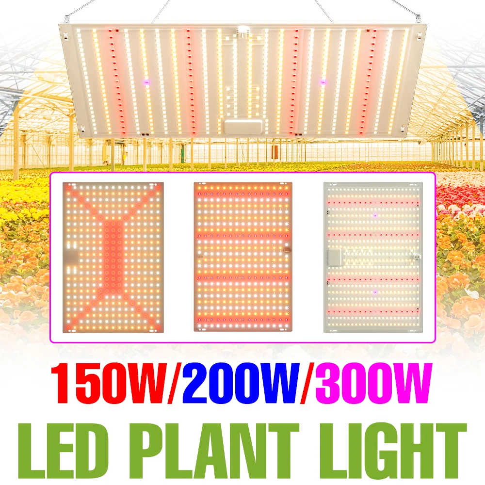 300 واط LED نمو النبات أضواء الطيف الكامل الكم مجلس زراعة مصباح الأشعة فوق البنفسجية الأشعة تحت الحمراء للداخلية الدفيئة الطماطم الخضروات الولايات المتحدة/الاتحاد الأوروبي التوصيل #1