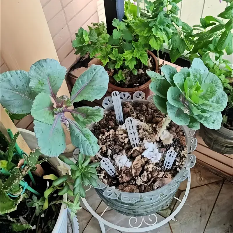 

10 шт. прозрачных пластиковых трубок для циркуляции воздуха в почве, легкие и прочные вентиляционные трубки для корней растений, предотвращающие гниение корней