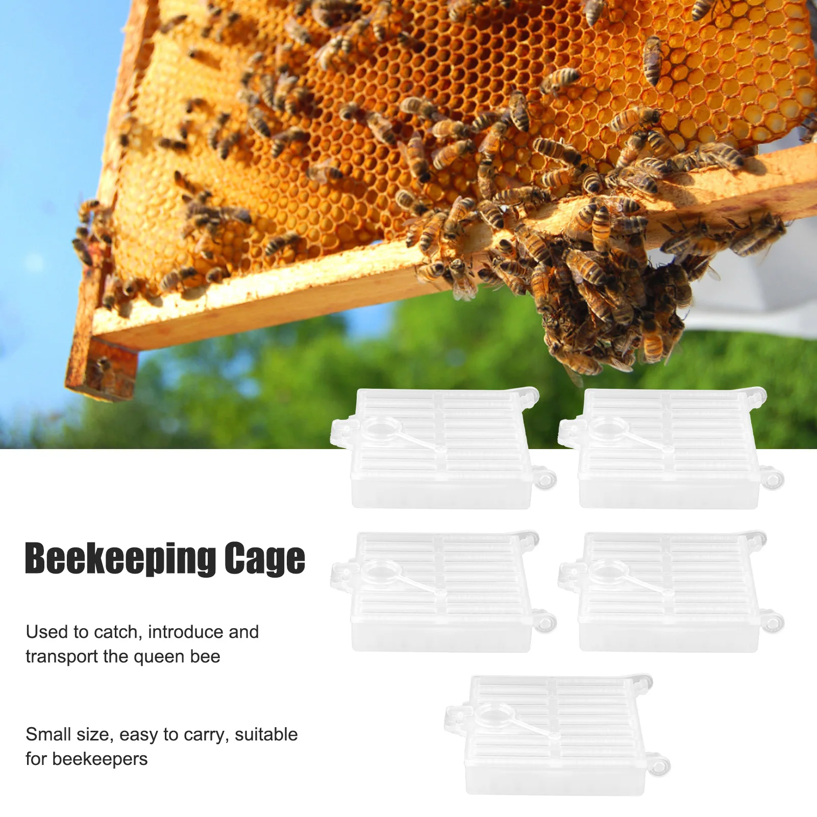 

Beekeeping Cage Queen Bee Moving Cage Queen Bee Catcher Cage Plastic Queen Rearing Transport Cage Tool Beekeeping Accessory