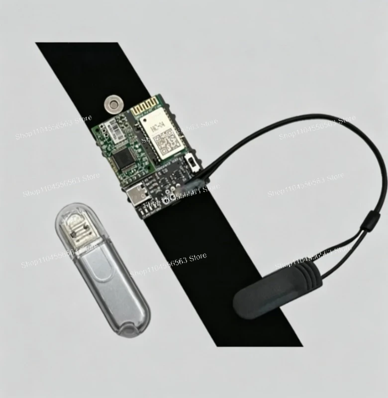 Brainwave Chip & Module: DIY Electronic Development Kit