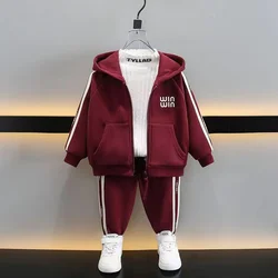 Kids Boys Plush Set Autumn And Winter 2024 New All-in-one Plush Children's Sweater Sports Set For Boys And Babies Two-piece Set