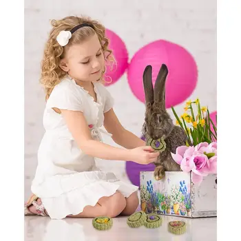 8 best sales ネズミのおもちゃ - №5