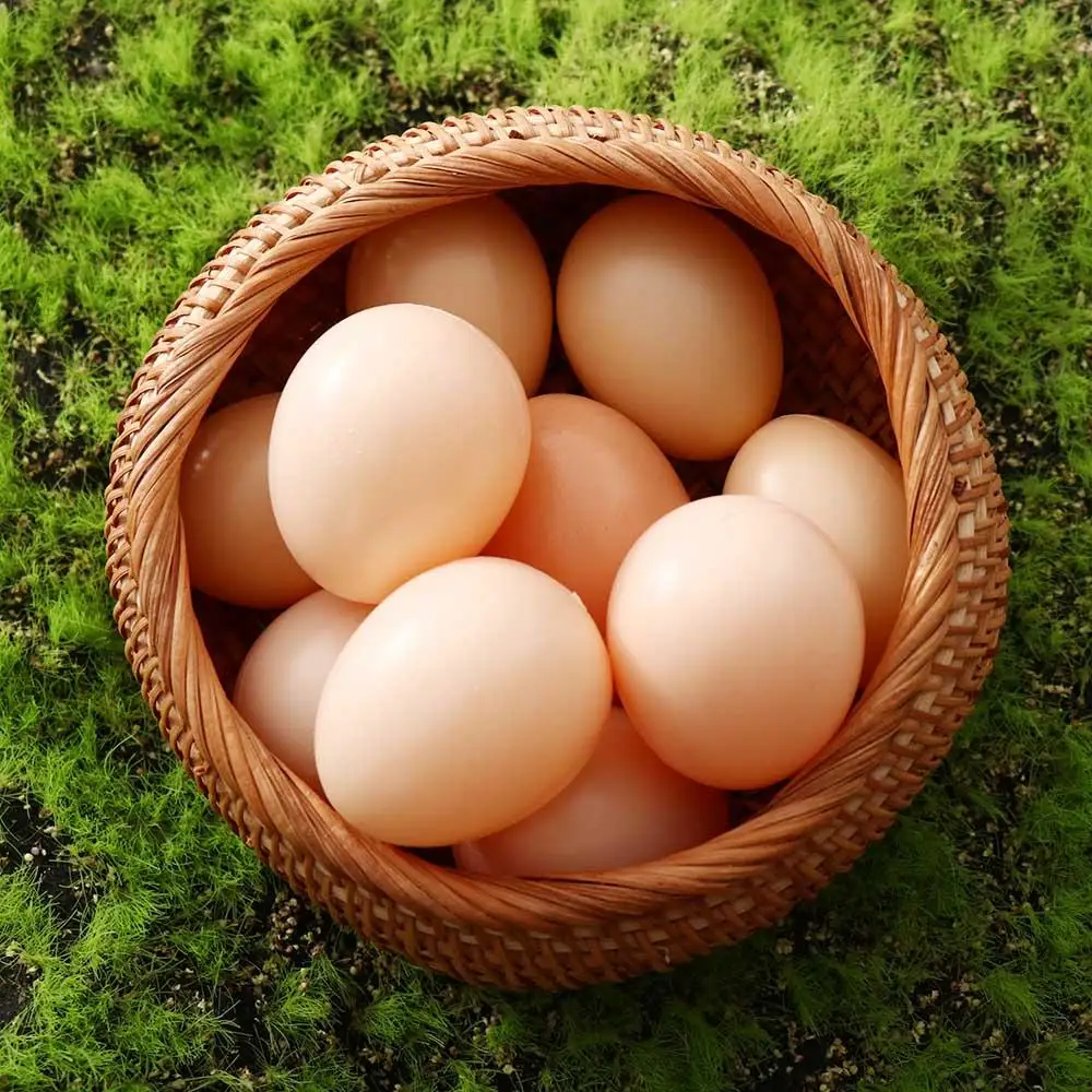 Huevos de simulación de gallina, escotilla de aves de corral, suministros para fiestas de cría, huevos de Pascua, huevos de gallina falsos, huevos artificiales, juguete educativo