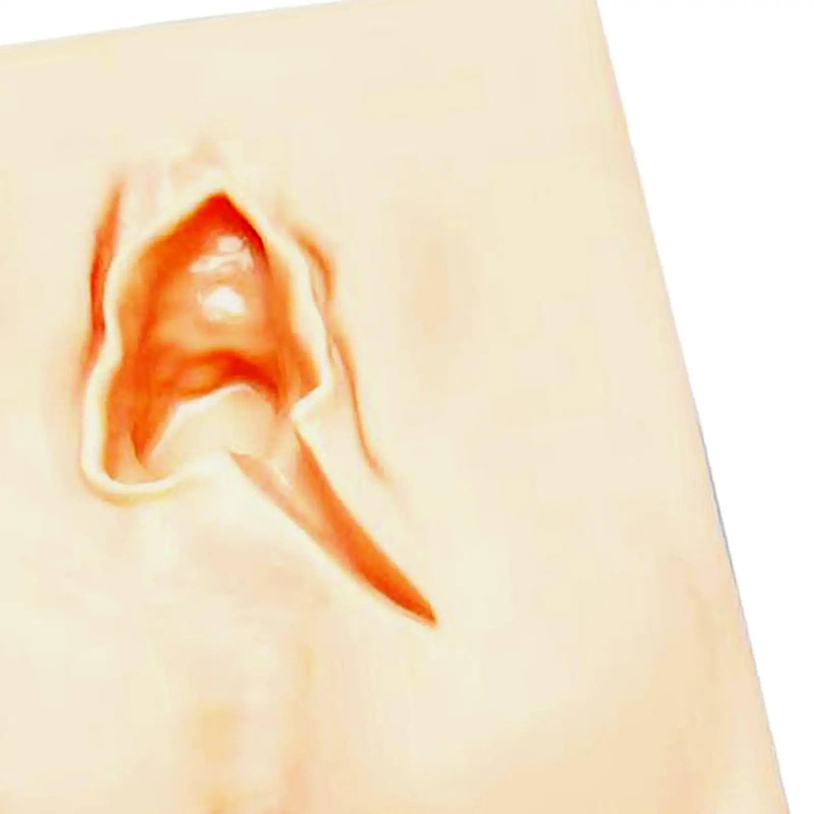 ممارسة العجان، تركيبات العجان، ملحقات شديدة التحمل، محاكي لضعف البشرة