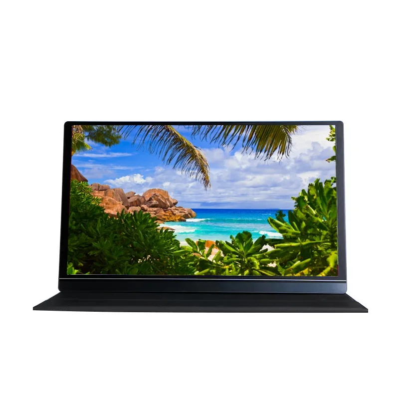 

15,6-дюймовый портативный монитор Full HD 1080p: совместимый с компьютерами, ноутбуками и мобильными телефонами через Type-C