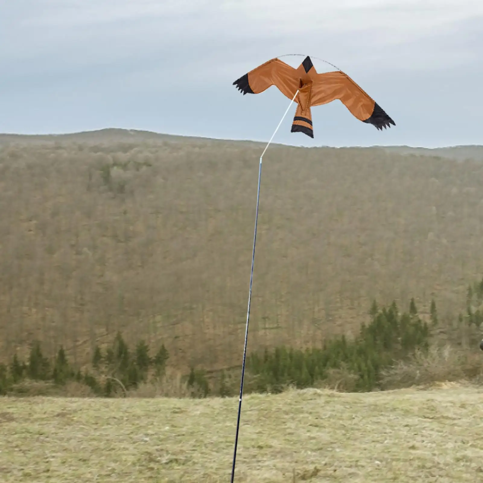 Nostick Emulation Flying Kite Bird Scarer Drive Kite Bird Repellent for Farm Garden Bird Pigeon Repellent Kite Without Pole