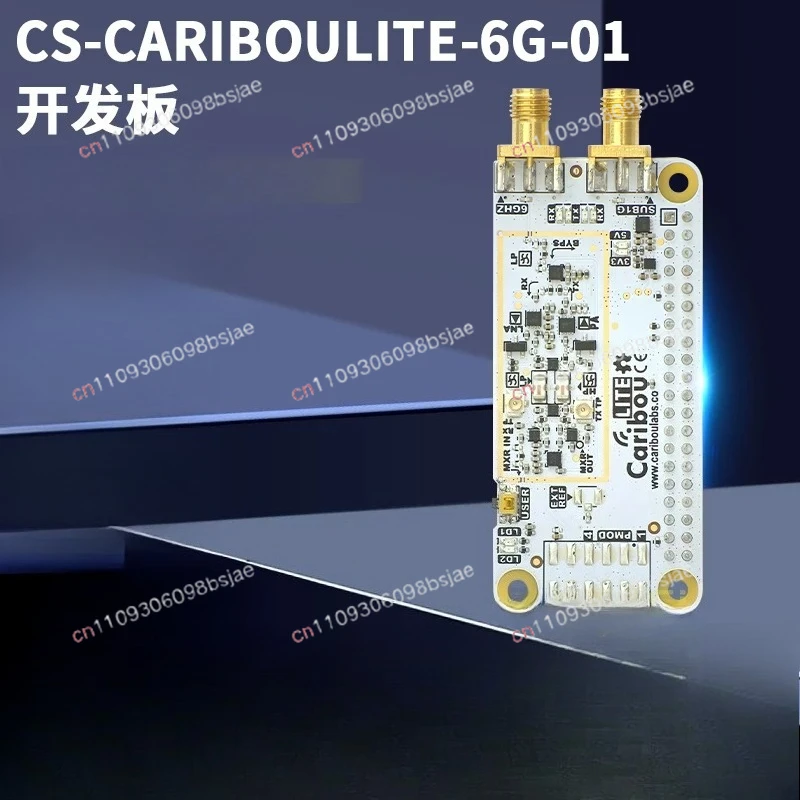 Programmable logic IC power builder CS-CARIBOULITE-6G-01 CARIBOULITE-ISM-01