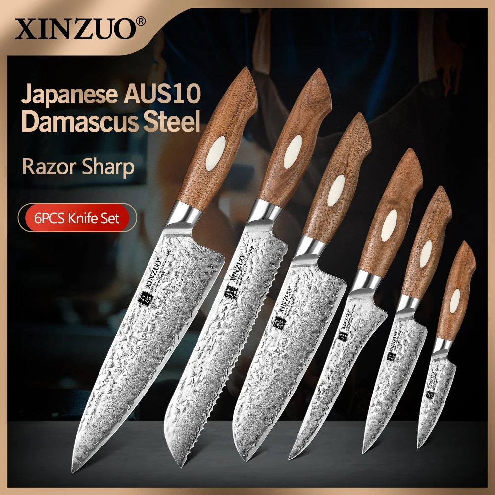 Original XINZUO Design 6PCS Kitchen Knife Set 67 Layers AUS10 Damascus Steel Knife Set Pro Chef Knife Set Best Cooking Tools