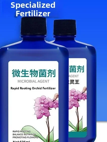 Lan Ling Wang Orchi…