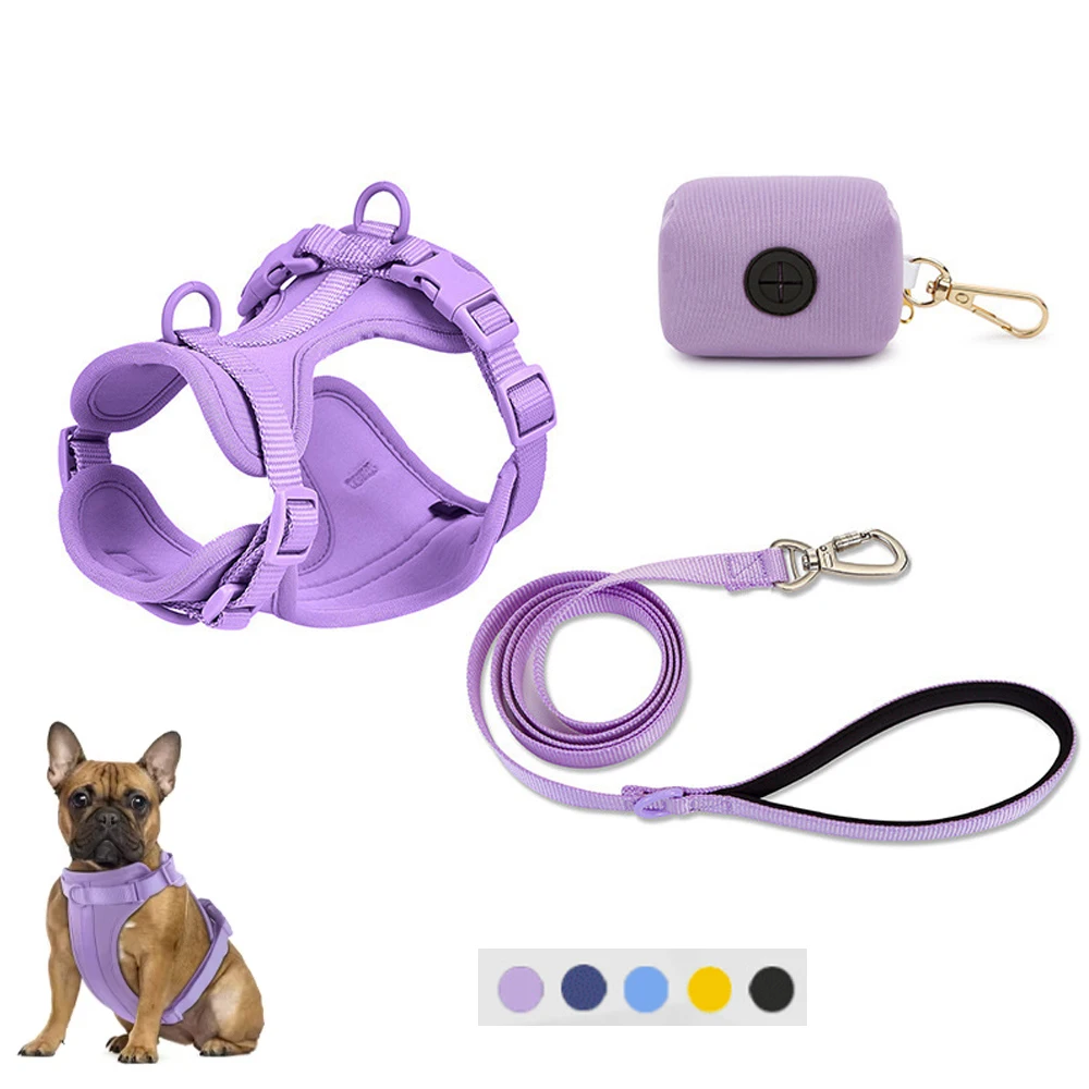 Hundeleine PVC Hundegeschirr Leinenspender-Set Atmungsaktiver Leichter Verstellbarer Hunde-Brustgurt für Outdoor-Spaziergänge und Training