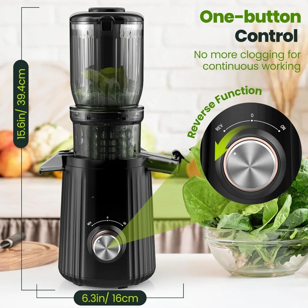 Juice Extractor,4.25'' Large Feed ChuteHigh Juice Yield 2 Filters, Easy To Clean with Brush, 250W Juicer Machine