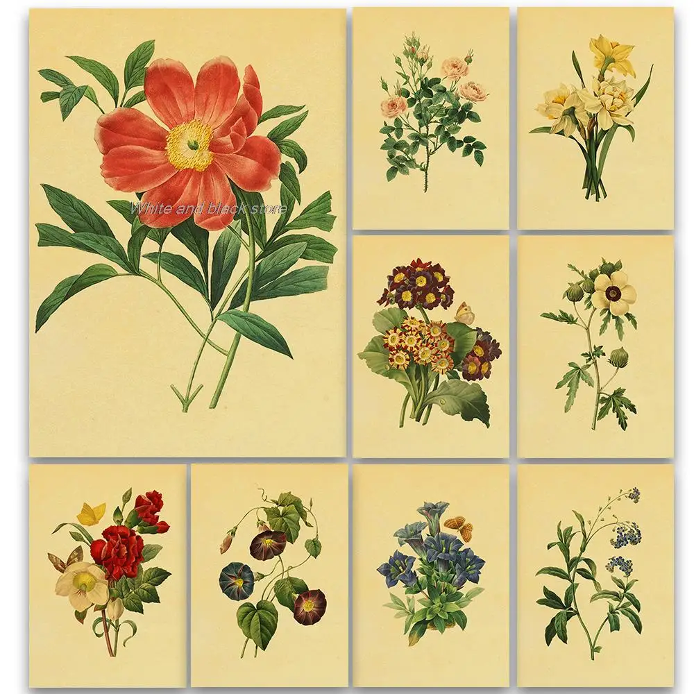 

Hot! Vintage Wild Plant Botanical Flower Study Print Art Canvas Poster For Living Room Decor Home Wall Picture