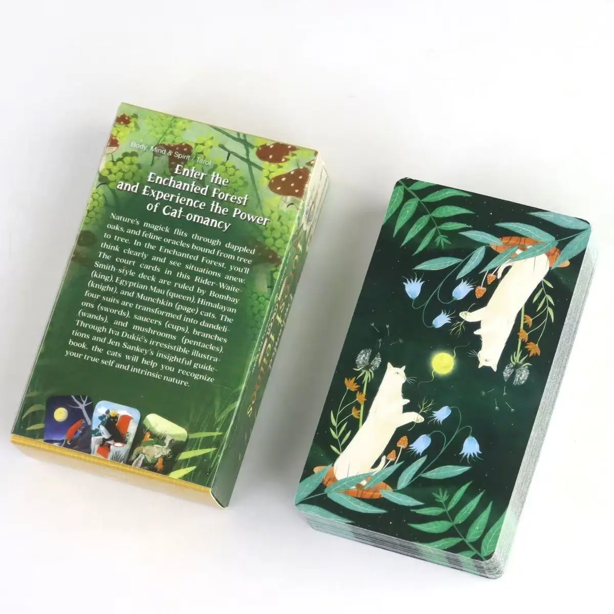 Enchanted Forest Felines Tarot Deck 78 Pcs Tarot Cards 10.3*6cm Based on Rider System Experience The Power of Cat-omancy