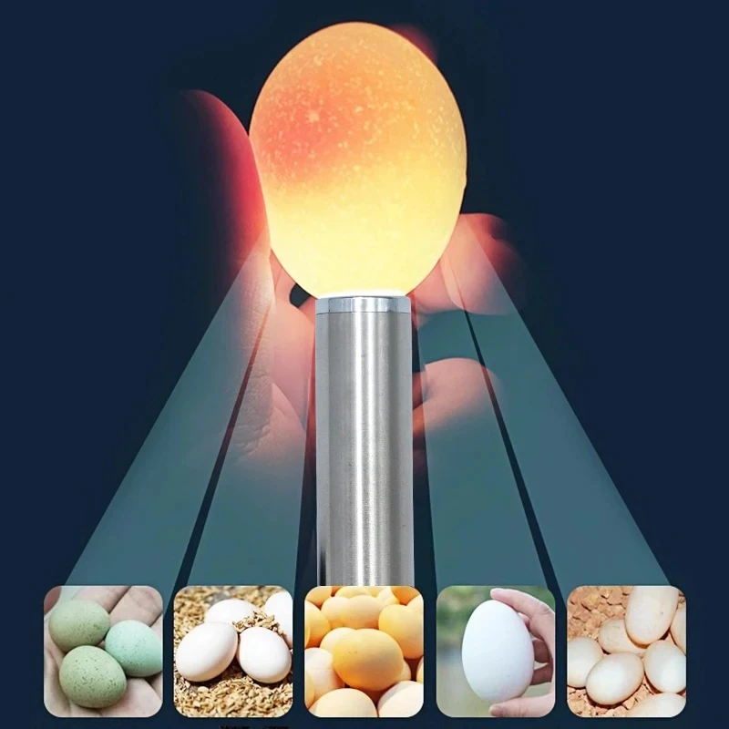 Probador de velas de huevos de 5 uds, lámpara de vela de luz LED fría y brillante para todos los huevos canarios de patos de codorniz oscuro de pollo