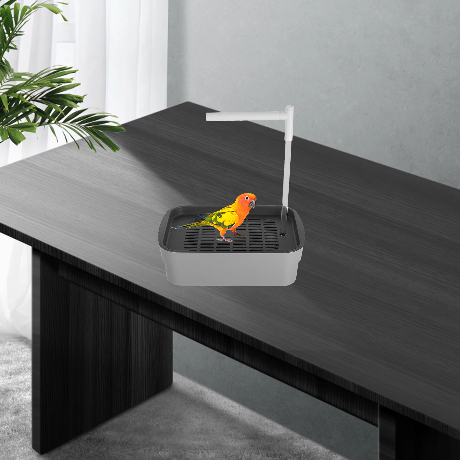 

With Water Circulation For Cage Accessories Parakeets Lovebirds Pigeons Small Tub Automatic Shower Bath Plastic Parrot Fountain