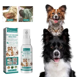 Spray para cuidados com a pele de animais de estimação, dermatite, alergia, antibacteriano, mata pulgas, remoção de ácaros de cachorro, alívio de coceira, tratamento de micose de gato