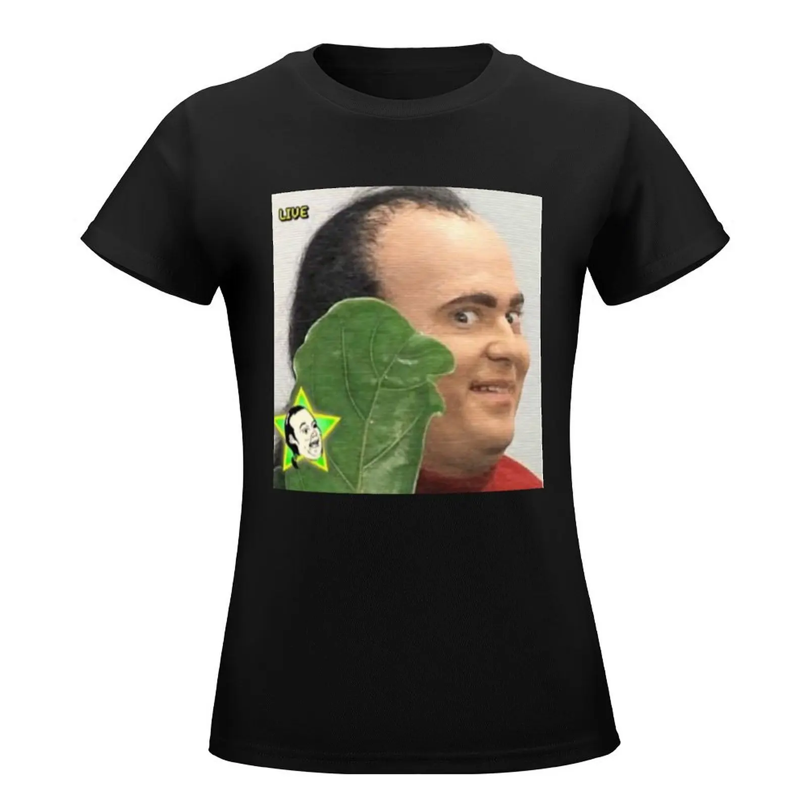 Рисунок 2 - Женская длинная футболка с графическим