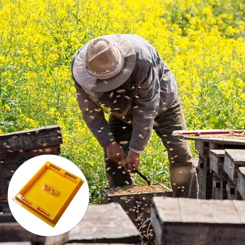 

Square Hives Feeder for Beekeepers Bright Color Attracts Bees Year Round Use