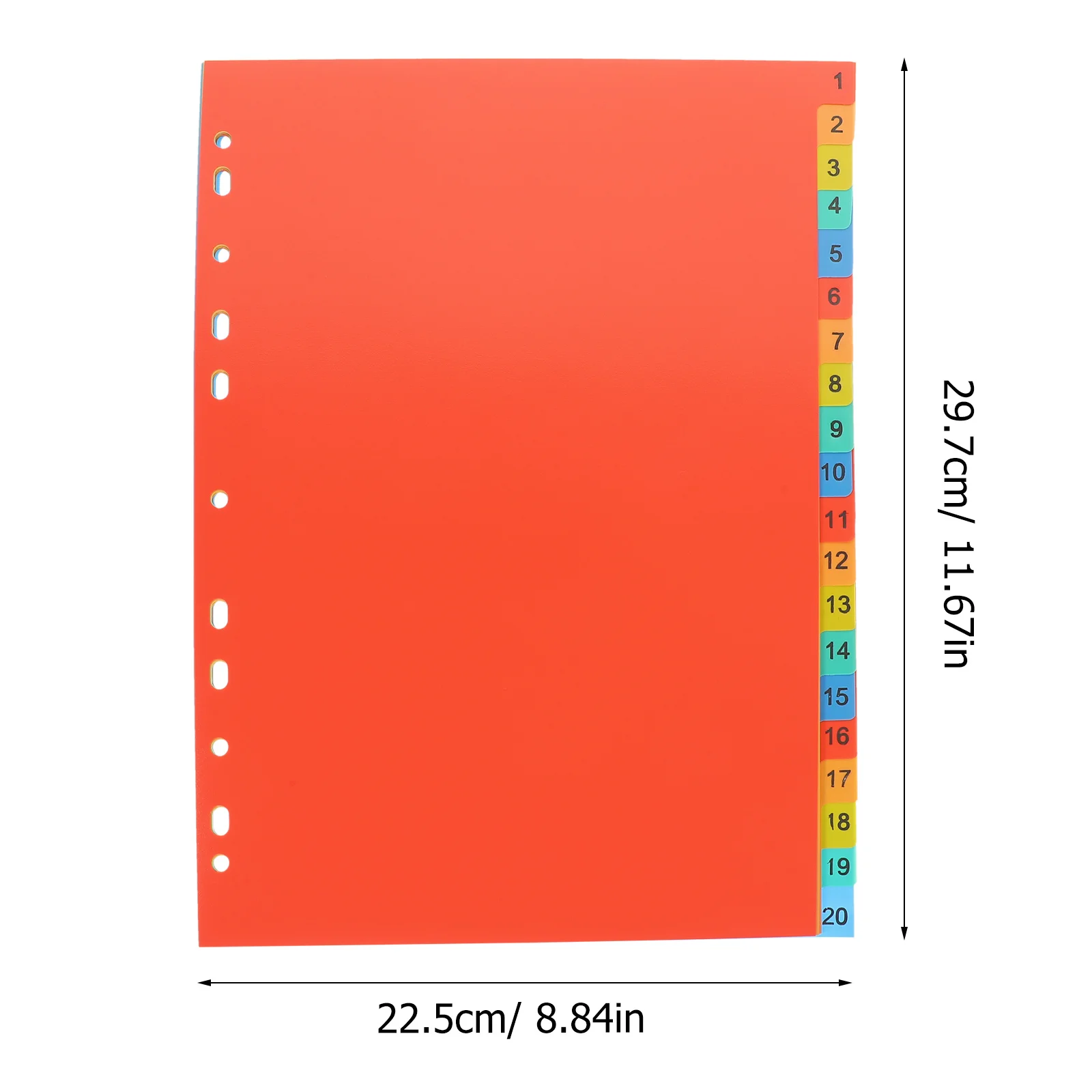 Divisori per raccoglitori da 20 fogli con linguette per organizer per raccoglitori scolastici per ufficio Forniture per notebook Divisori per forniture per ufficio