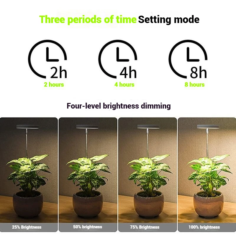 LED Flower Bonsai Plant Grow Light Retractable Pole Plant Succulent Fill Light Anti Apprentice Light Timing model Full Spectrum
