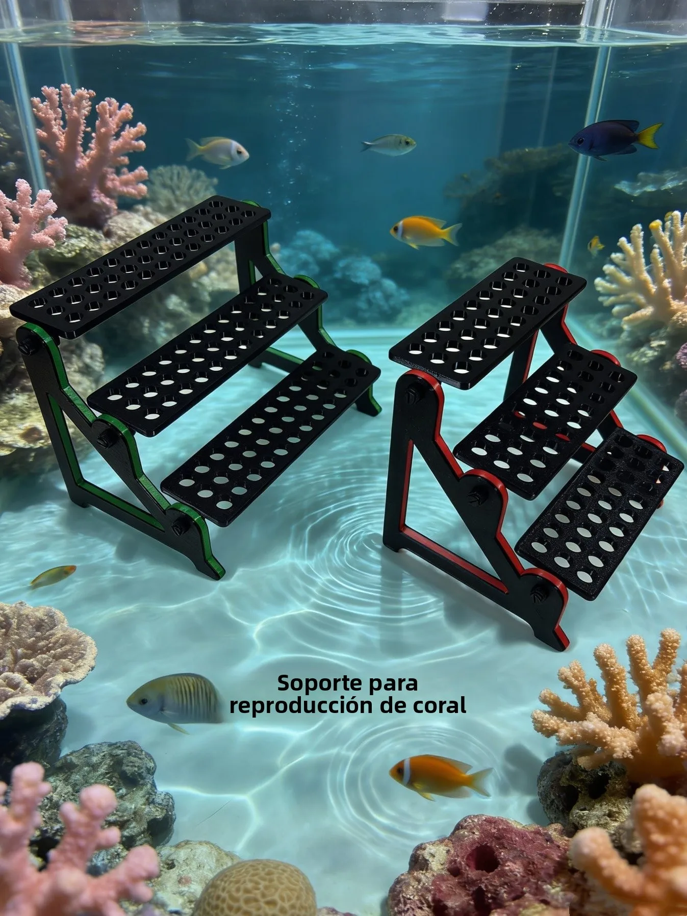 Soporte de exhibición para cría de corales, paisaje de acuario, micro-escena para cría de corales, multifuncional, elevable, ...