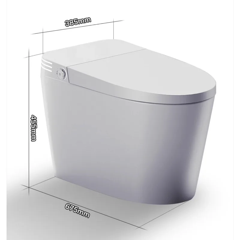 Pembersih Toilet Jepang Smart Toilet Lantai Sanitasi Minimalis Estetis Smart Toilet Dewasa Unik Suchy Syfon Perabot Rumah Tangga