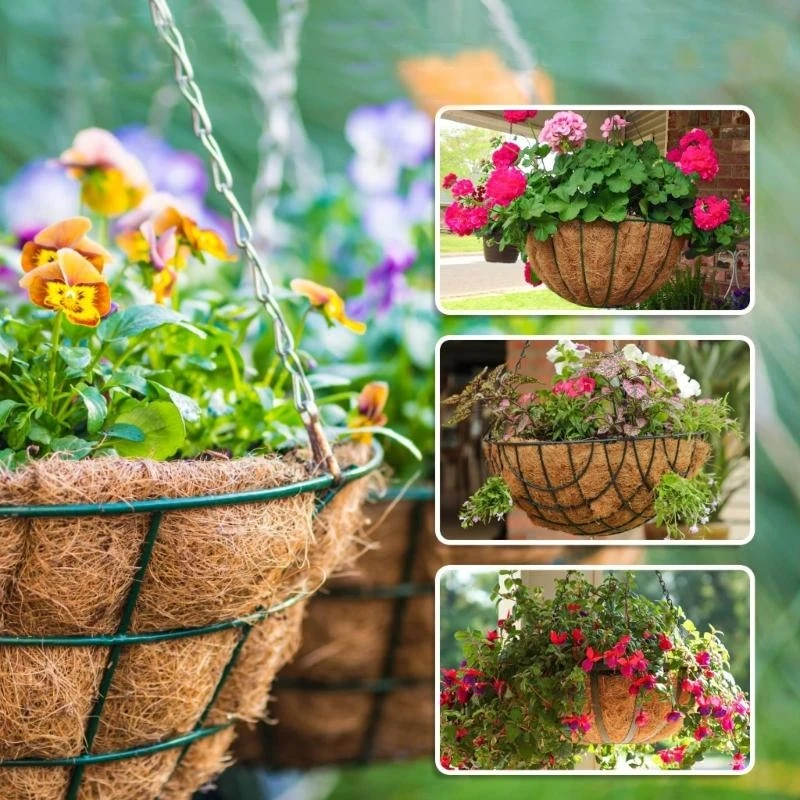 

Цветочный горшок из кокосового волокна круглой формы/формы яслей для подвесных корзин с суккулентами