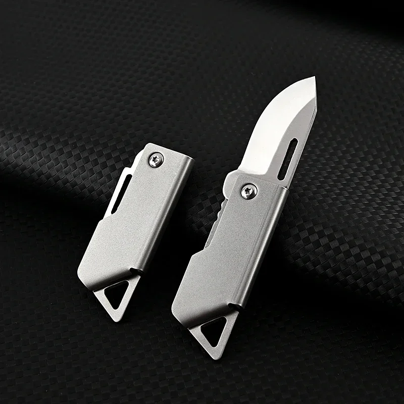 D2 Steel Mini Folding Blade Knife Outdoor Pocket Knife Keychain for EDC Camping Tactics Self-defense Tool Fruit Knives Box Open