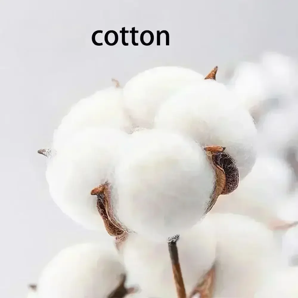 تي شيرت American High Street Cucumber مطبوع فضفاض ومريح للترفيه بأكمام قصيرة مع الرجال والنساء