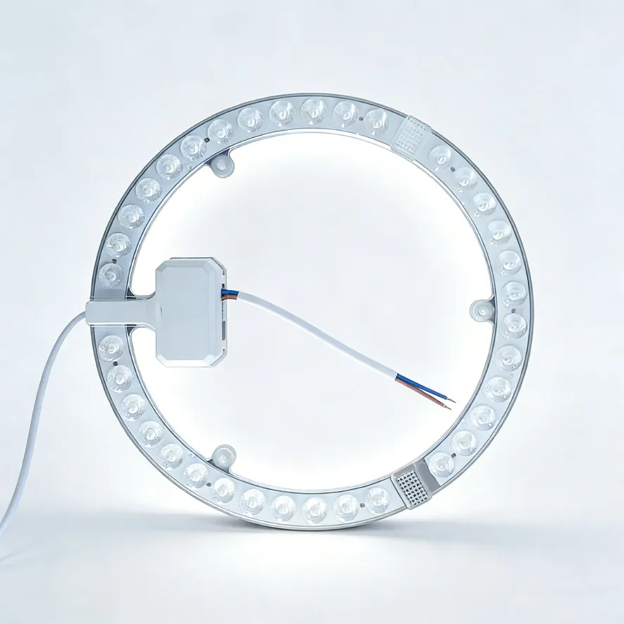 Pannello LED Circolare AC220V-240V 12W 18W 24W 36W Bianco Freddo, Lampada da Soffitto Rotonda, Sorgente Luminosa Circolare