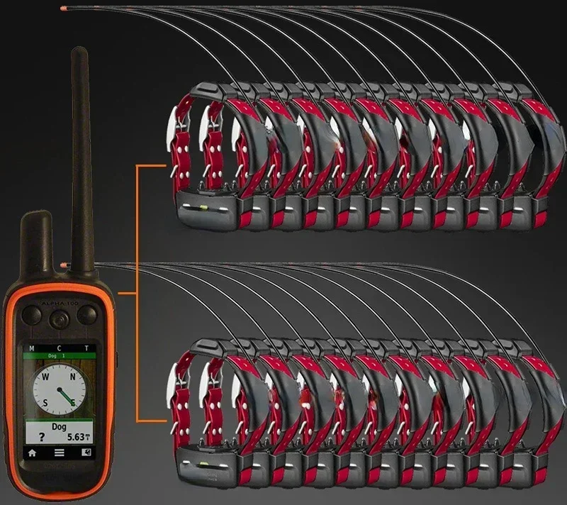 Second -hand is not brand new hound Hound Tracker GPS Positioning Garmin Alpha 100 Alpha TT15 Collar
